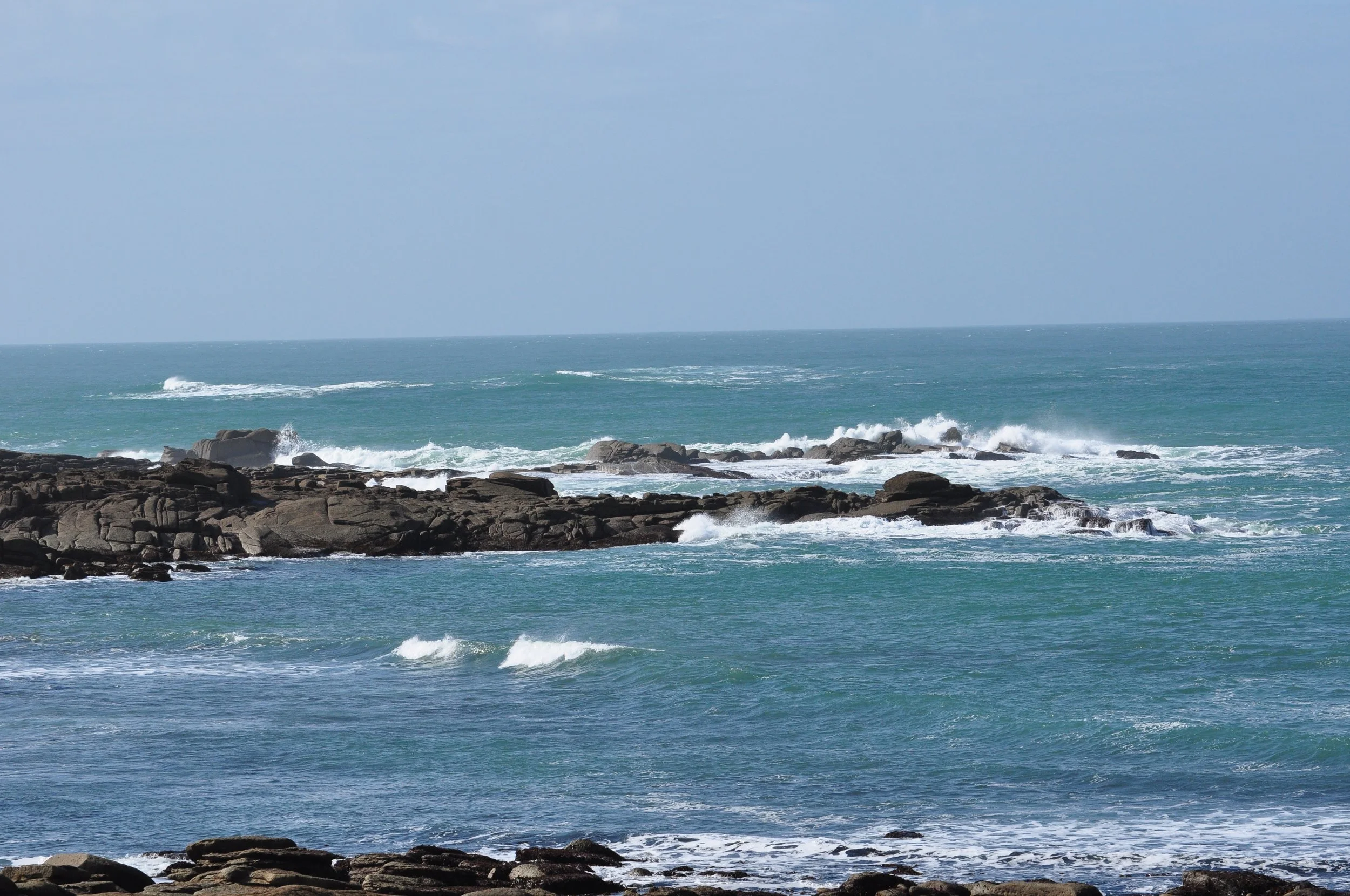 DSC_0649.JPG