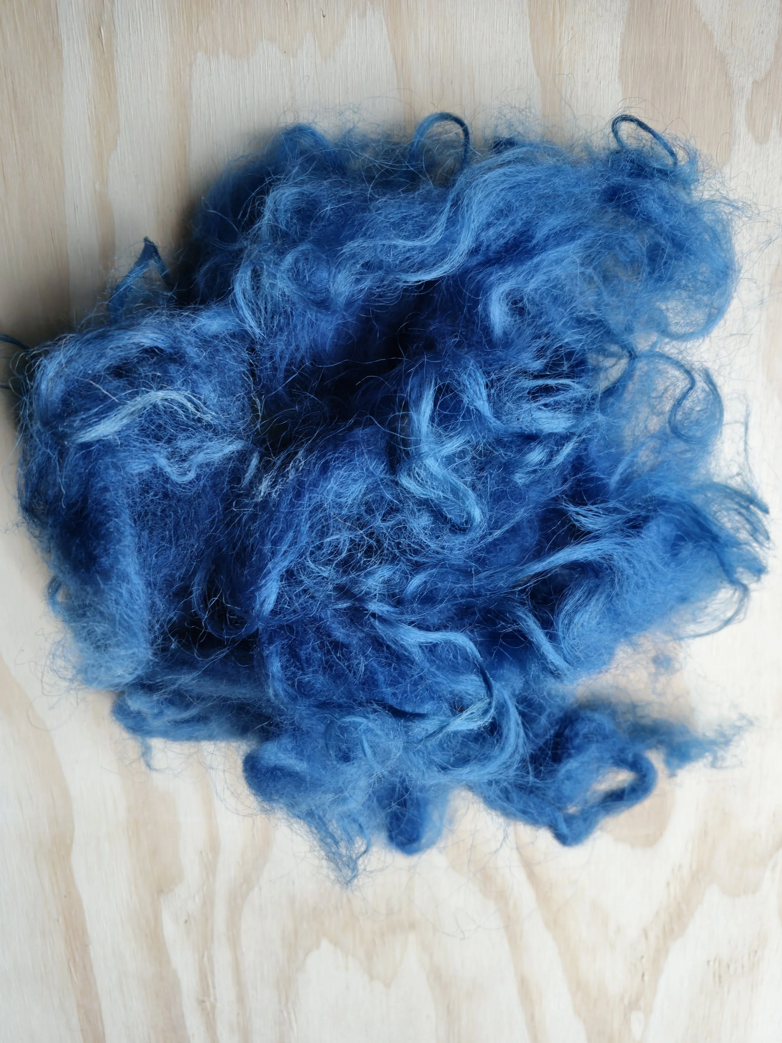 Indigo drents heideschaap 1.jpg