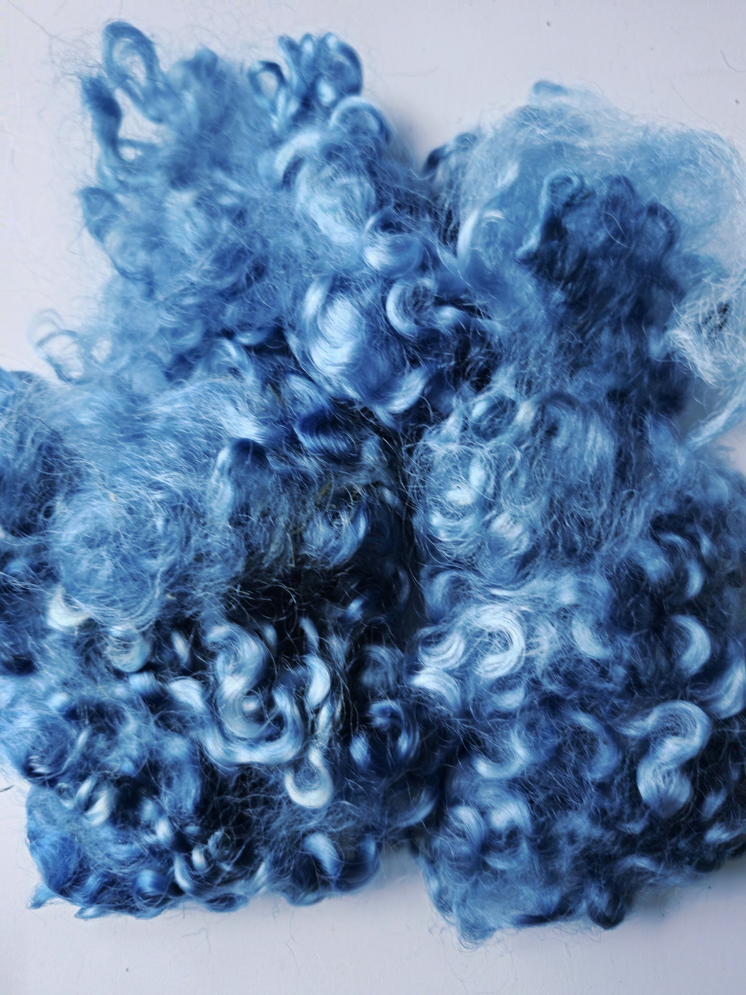 Indigo wensleydale.jpg