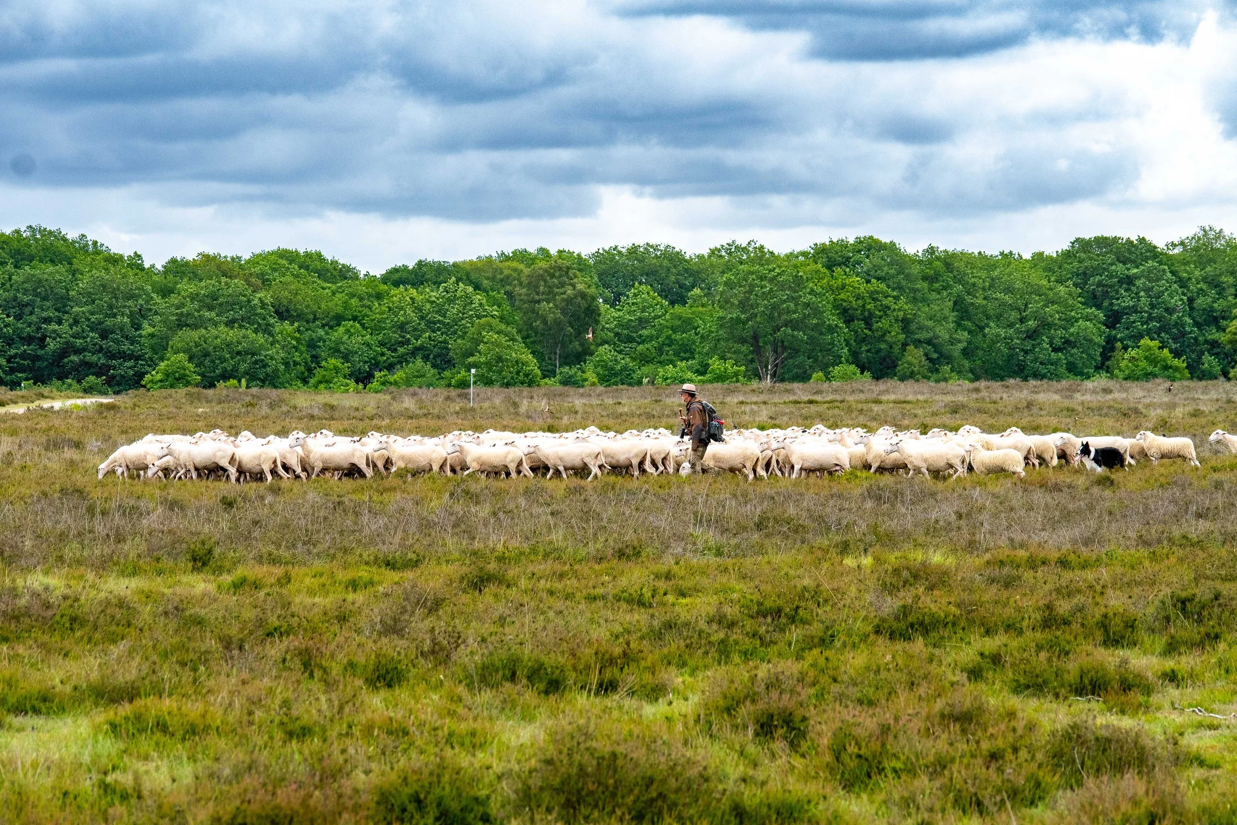 DSC_2114-2.JPG
