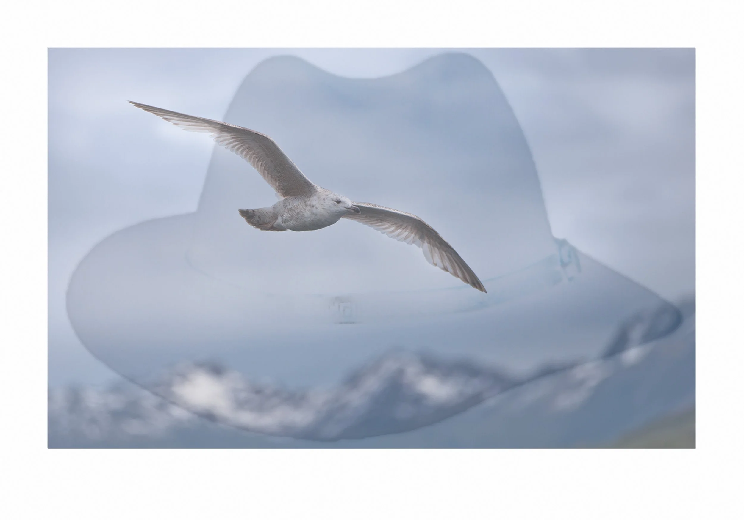 Surrealistisk Måge Hatt-1.jpg