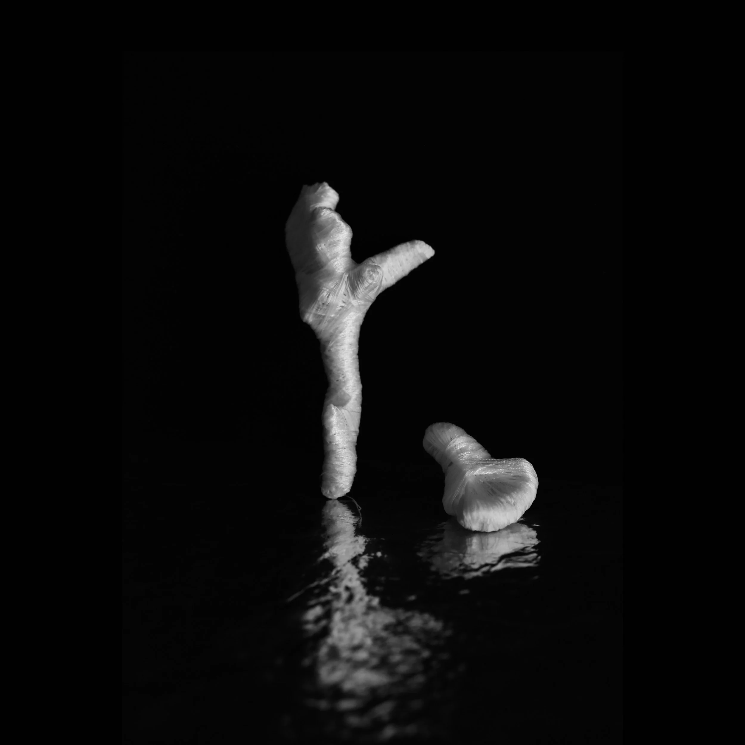 HR 1 kvadrat.copy.jpg