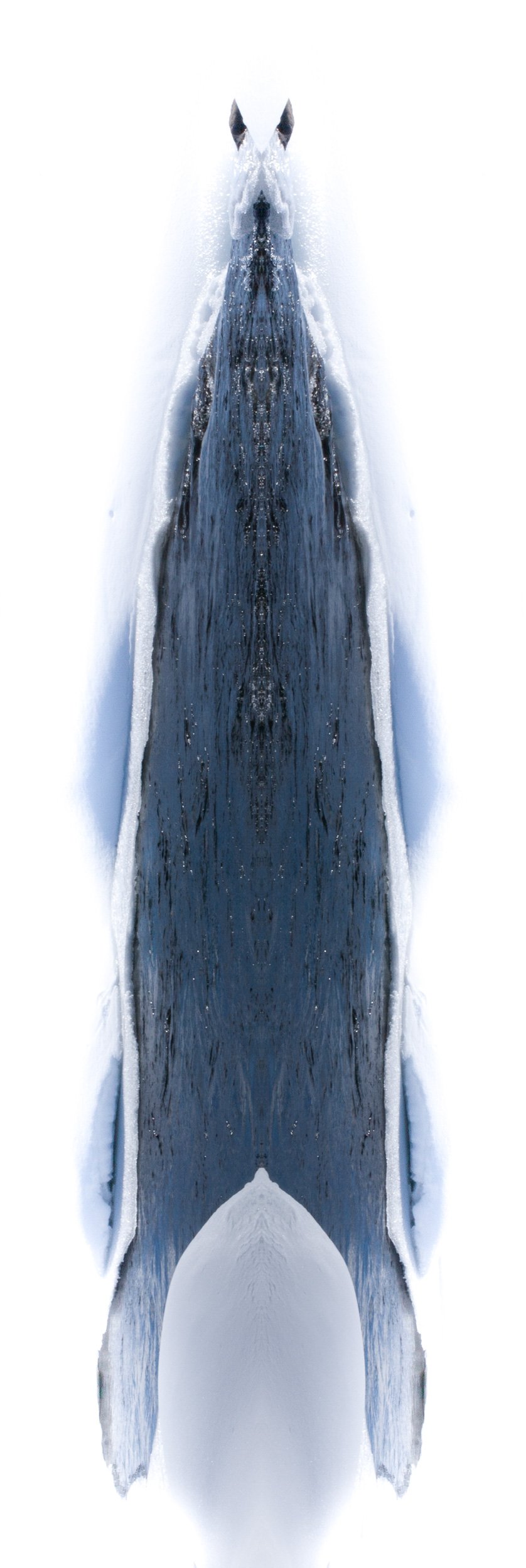 Sanselig vinterspeiling 20-2.jpg