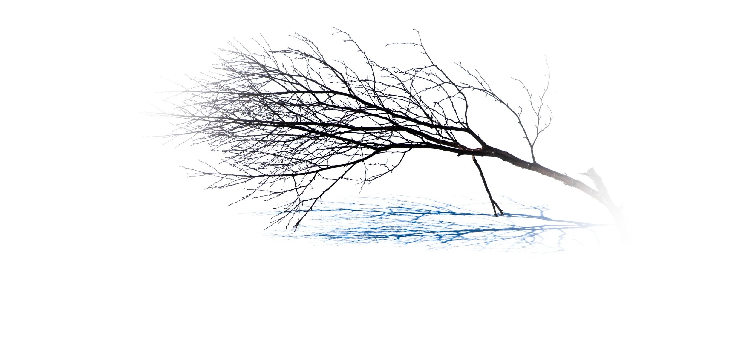 Skyggen er min følgesvenn 3.jpg