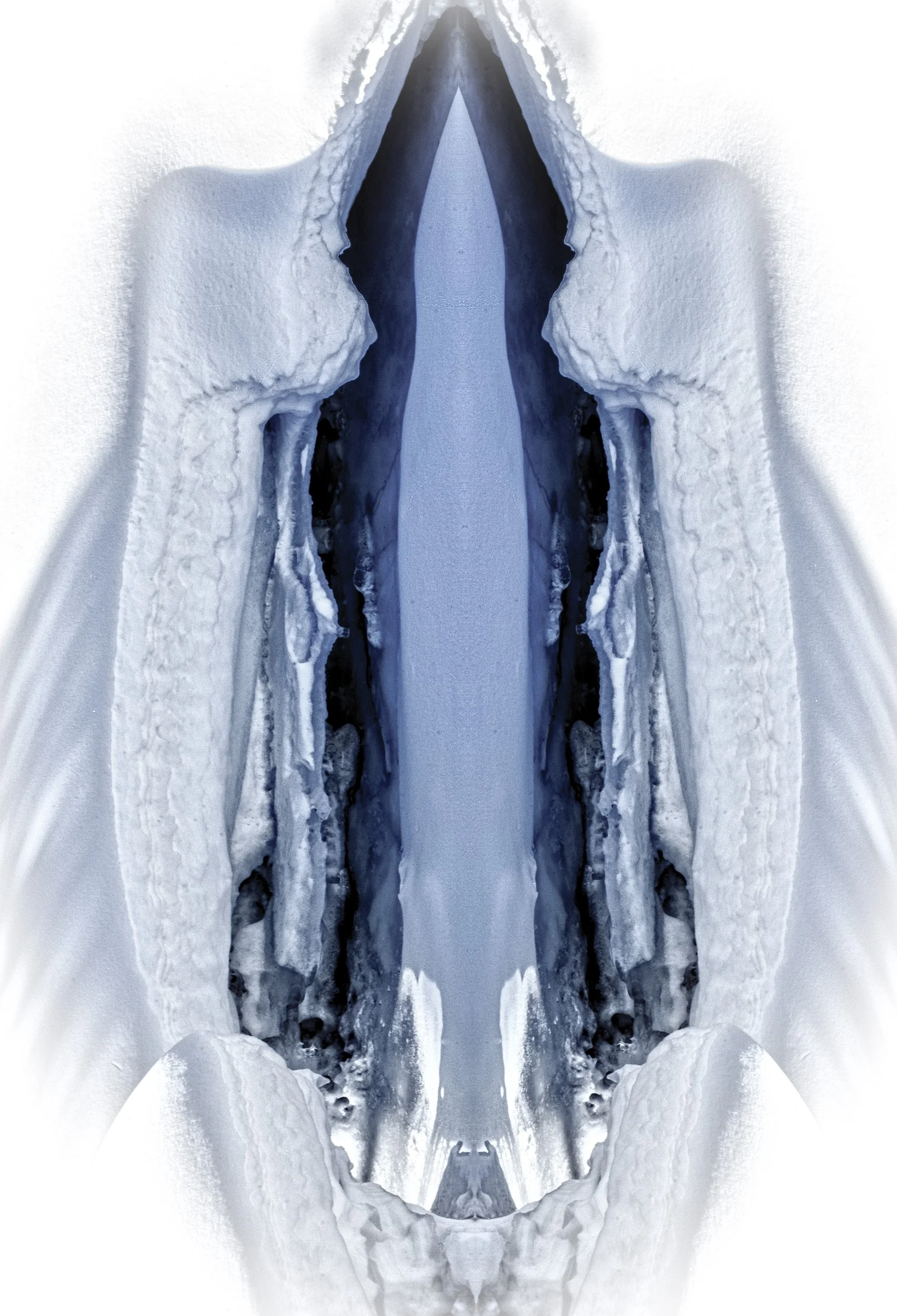 Sanselig vinterspeiling 11.jpg