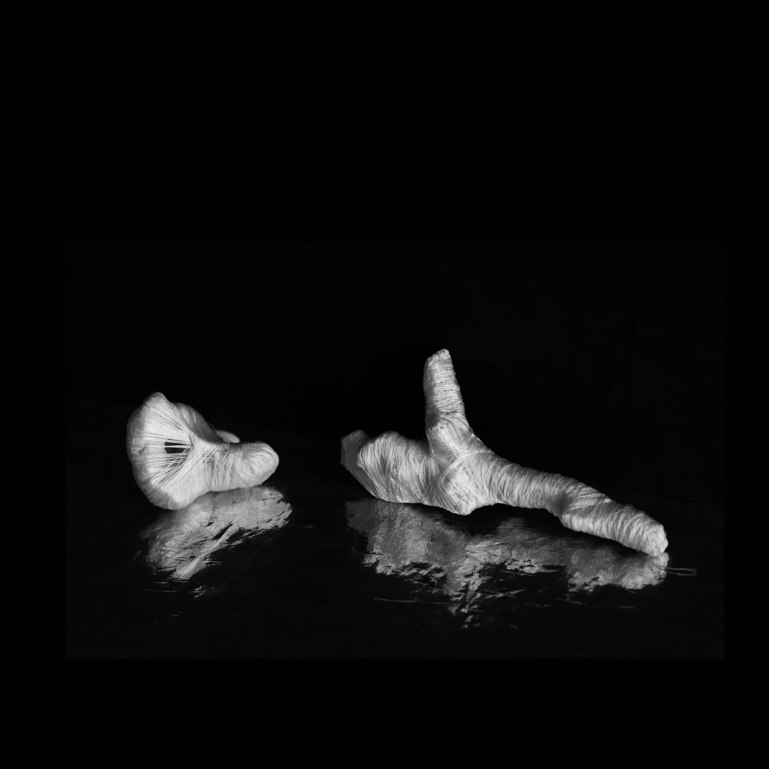 HR 2 Kvadrat. copy.jpg