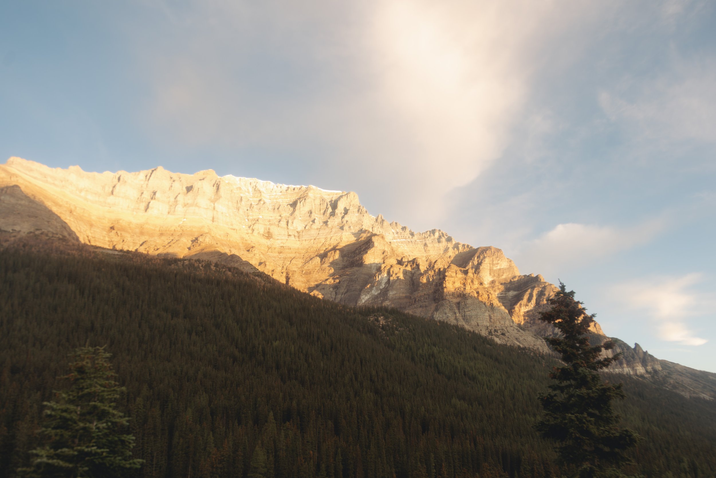 SurpriseProposalatLakeMoraine-Bottrel&Co(bottrel.co)-GriffinandRachel-Final-13.jpg