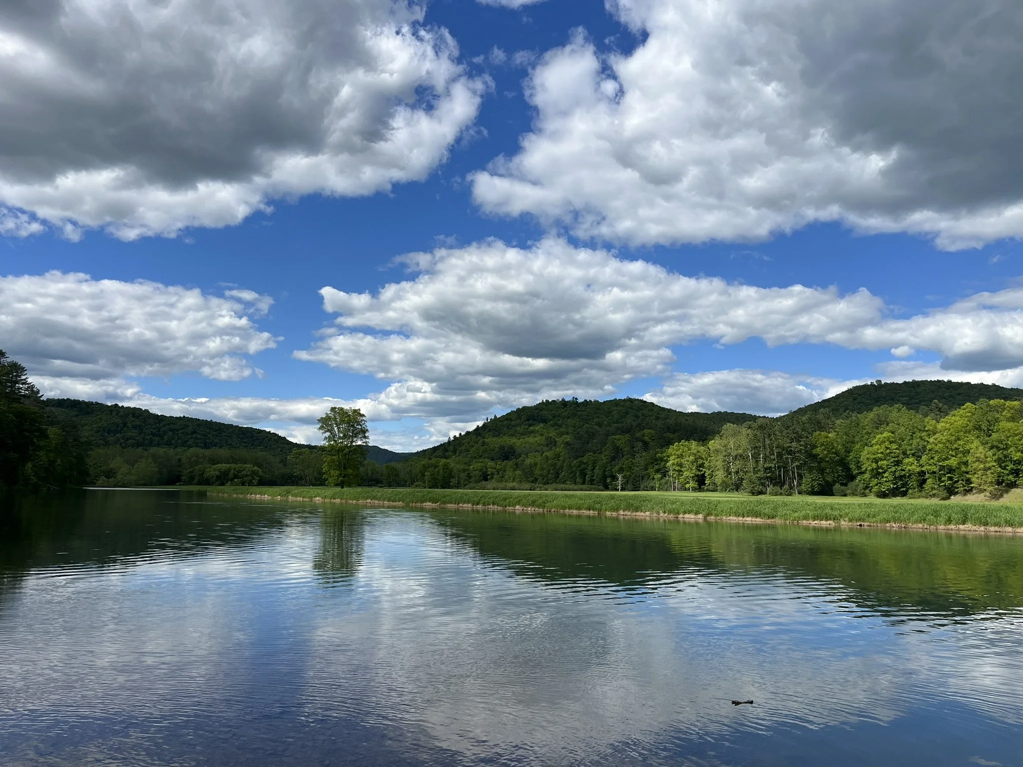 Summer’s Day at Kettle Creek