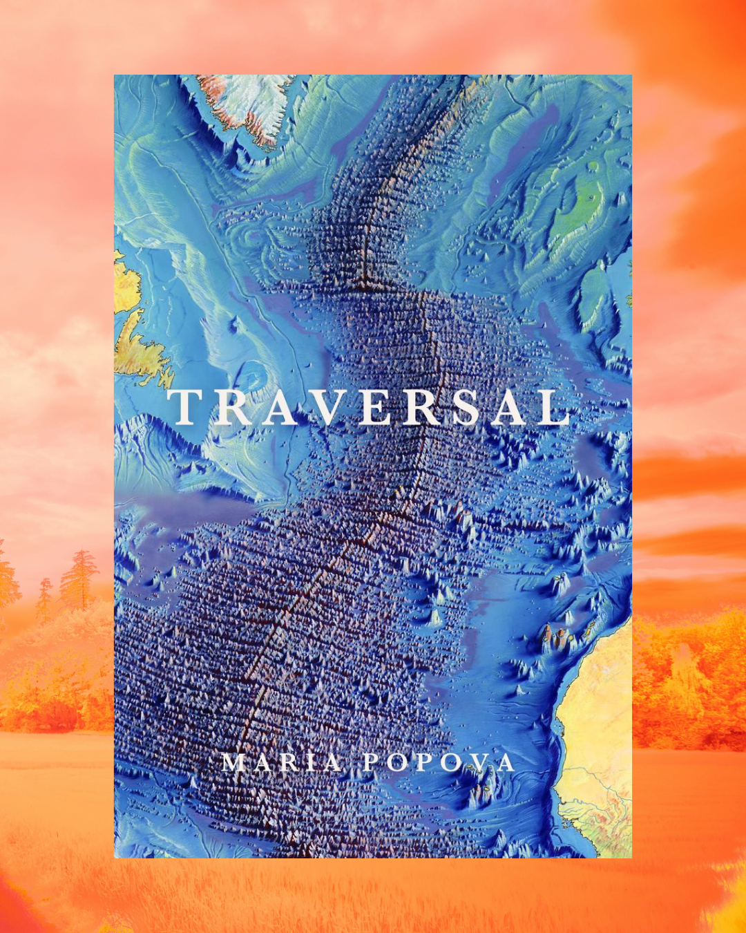 Where Art and Science Meet: <em>Maria Popova’s Traversal</em>