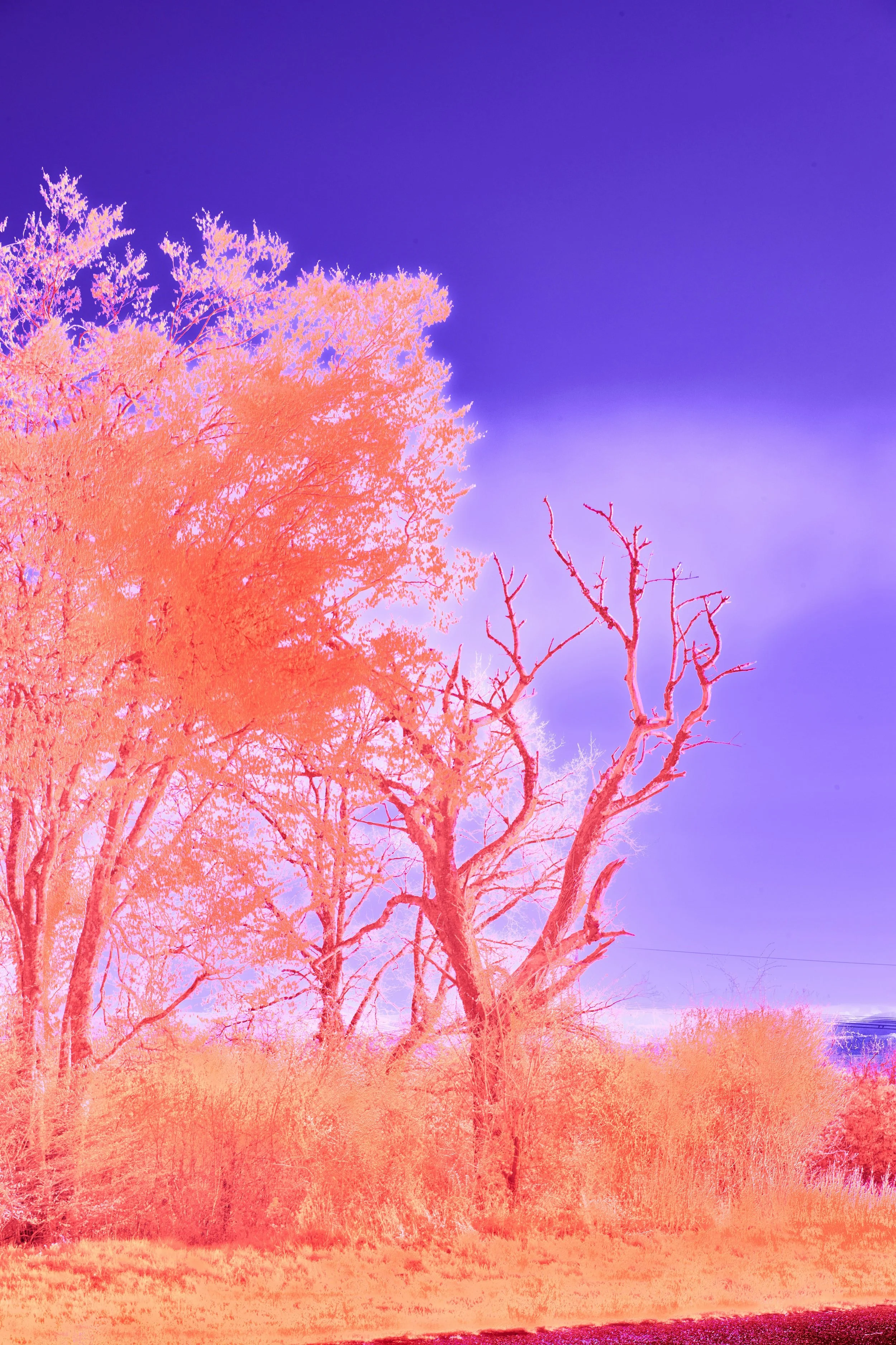 Six Poems