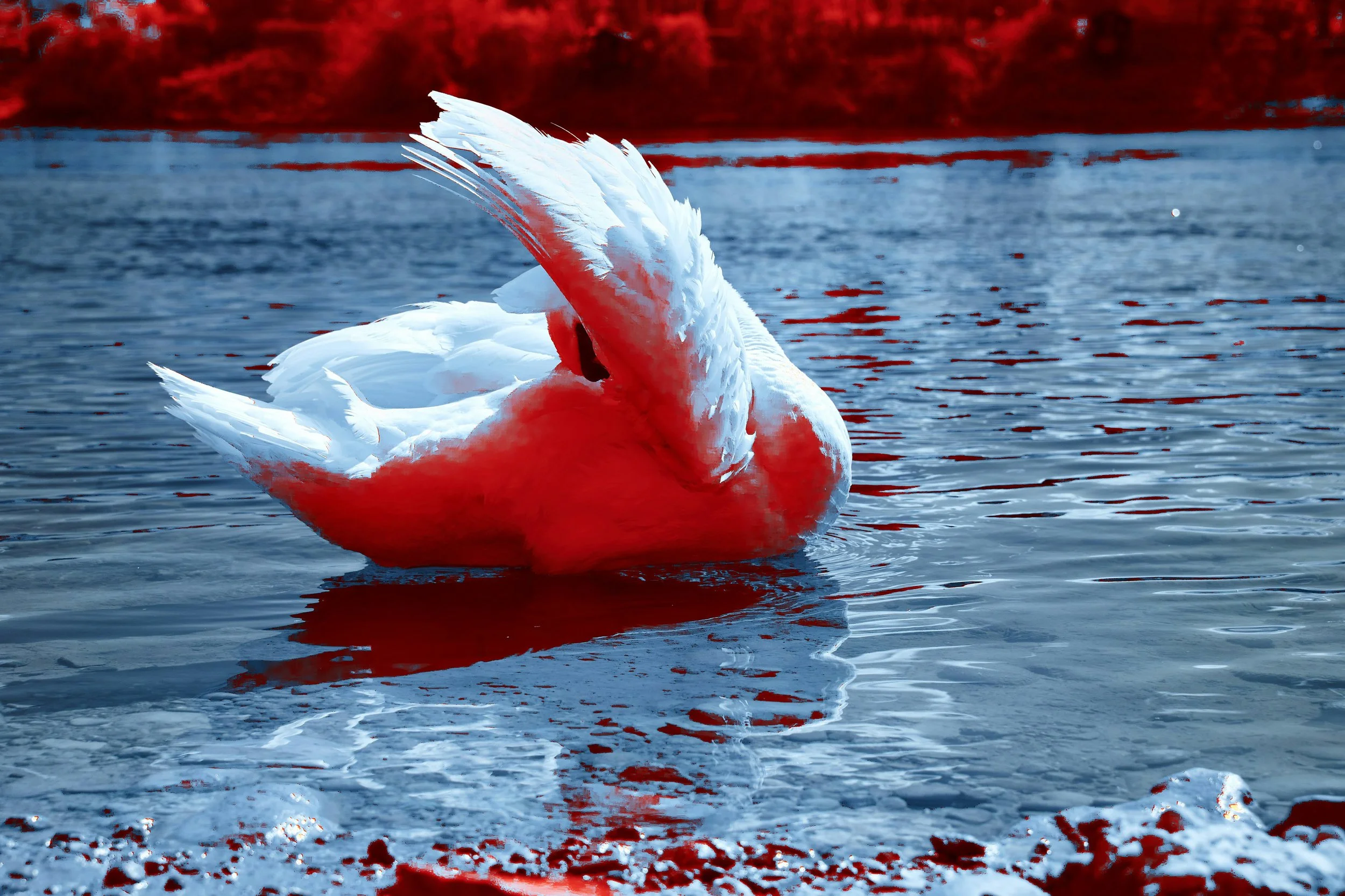 Five Poems