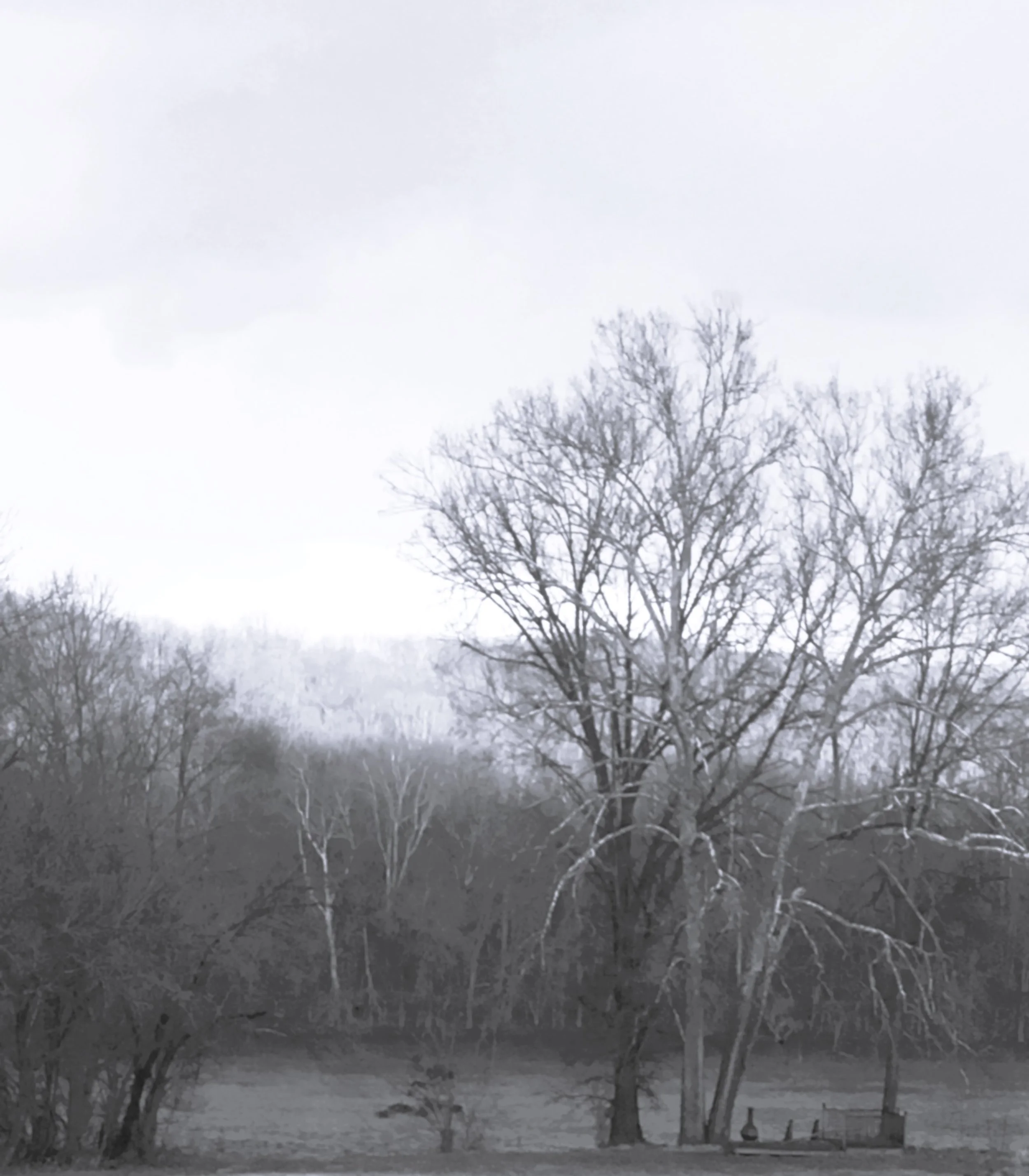Unhinged Climate