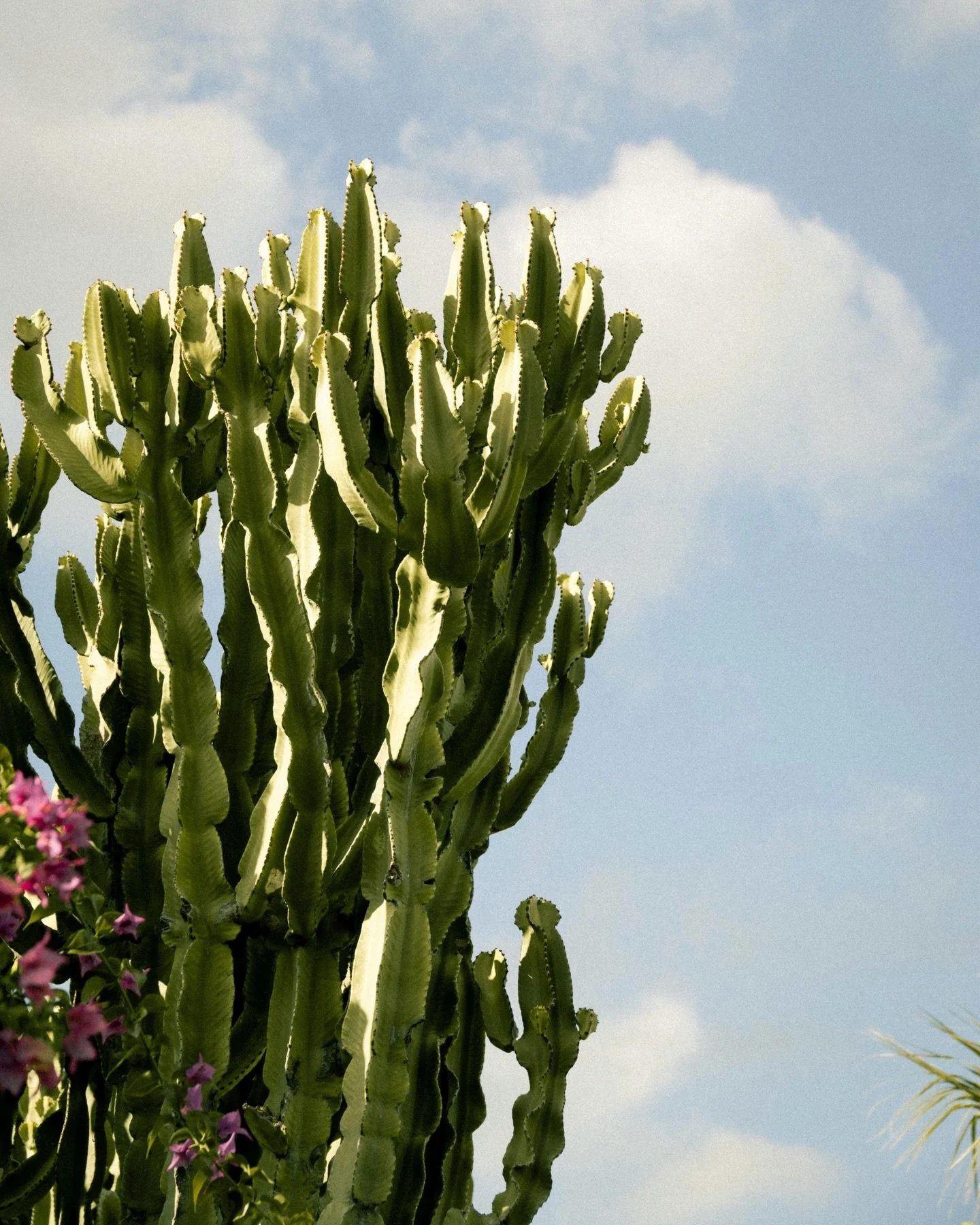 Non &egrave; mai troppo presto per pianificare una vacanza a Pantelleria.
I lunghi giorni d&rsquo;estate iniziano da qui.
Prenota il tuo soggiorno su www.dammusivillaserena.com
&bull;
It&rsquo;s never too early to plan a holiday in Pantelleria.
Long 