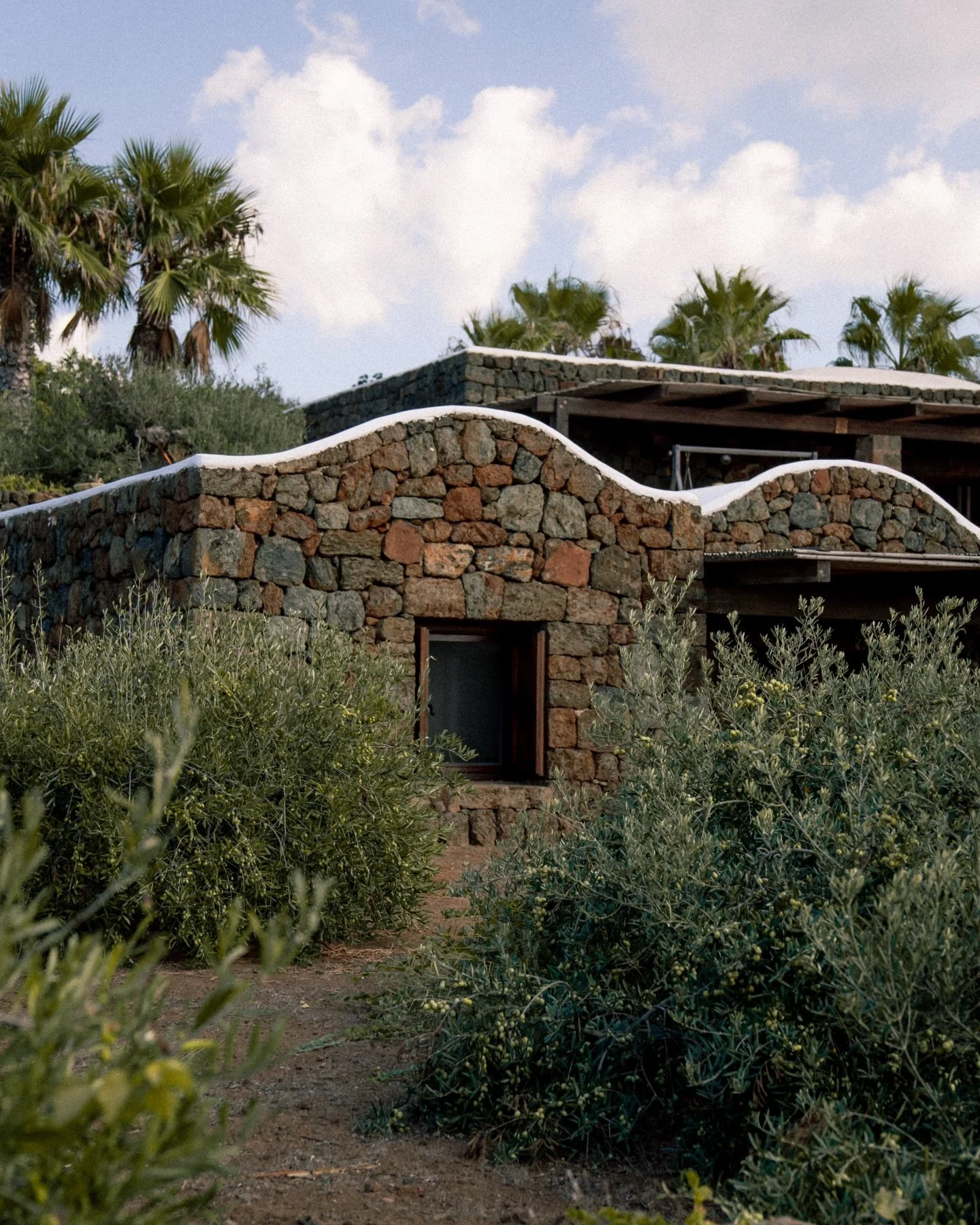 Pochi scatti che racchiudono tutte le essenze pantesche 🌿

Se sei gi&agrave; stato sull&rsquo;isola, baster&agrave; uno sguardo per ritrovare l&rsquo;emozione della prima volta: i profumi dei fiori di cappero, degli ulivi speciali, il bianco che abb