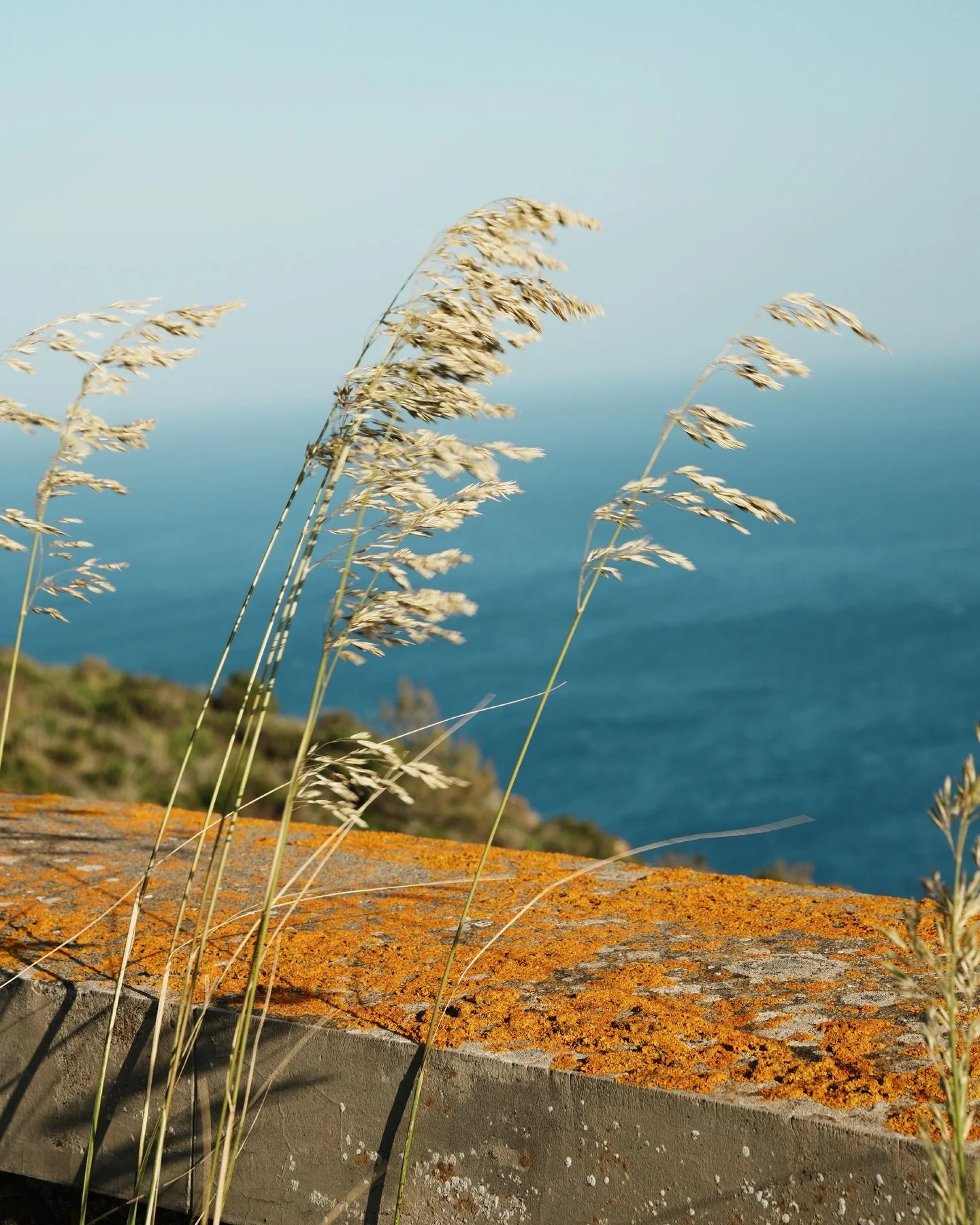 Nella Giornata della Terra, ci viene ricordato con delicatezza che tutto ci&ograve; che ci sostiene &egrave; un dono: l&rsquo;aria che respiriamo, l&rsquo;acqua che ci circonda, il ritmo silenzioso della natura.
A Dammusi Villa Serena, ogni respiro d