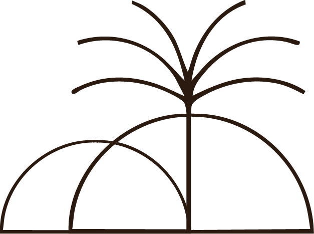 Illustrazione dei tetti dei dammusi con una palma stilizzati con linee stagliate sullo sfondo nero.