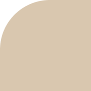 Solid beige color background