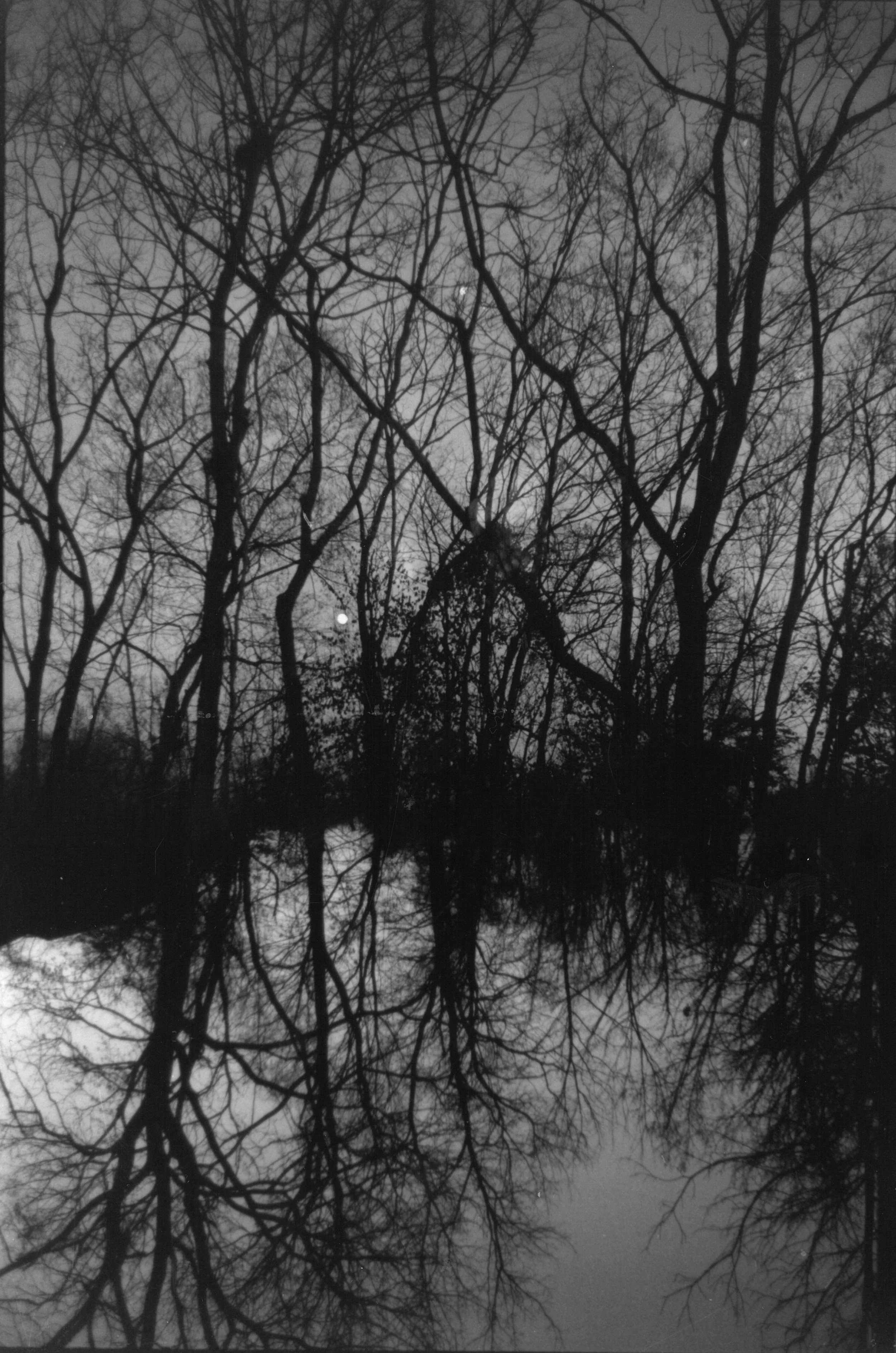 Black and white photo of leafless trees reflecting on a still body of water, with a cloudy sky and the moon visible in the background.