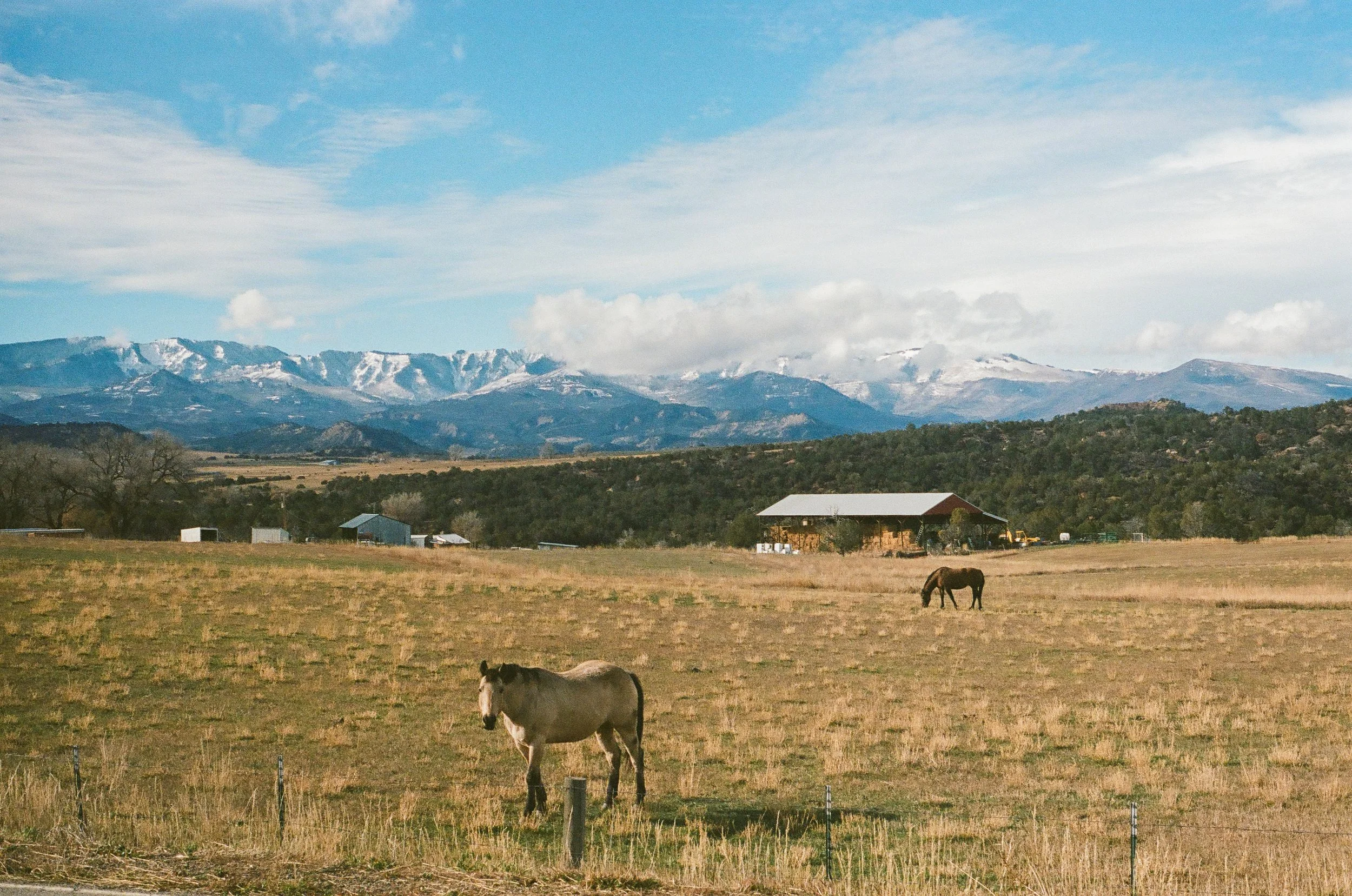 Utah Road Trip on Film
