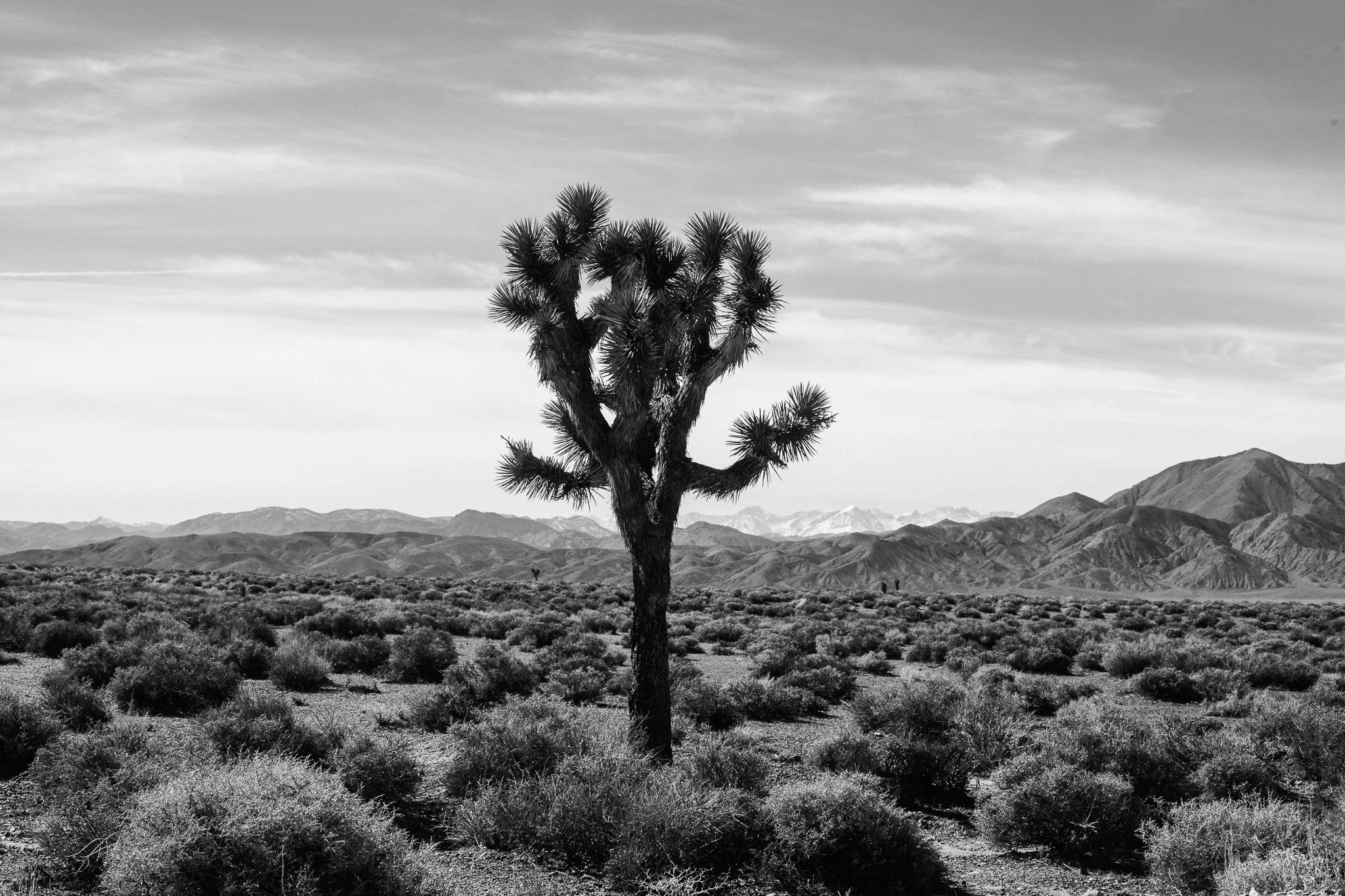 Death Valley Day 2 - Beatty to Lone Pine