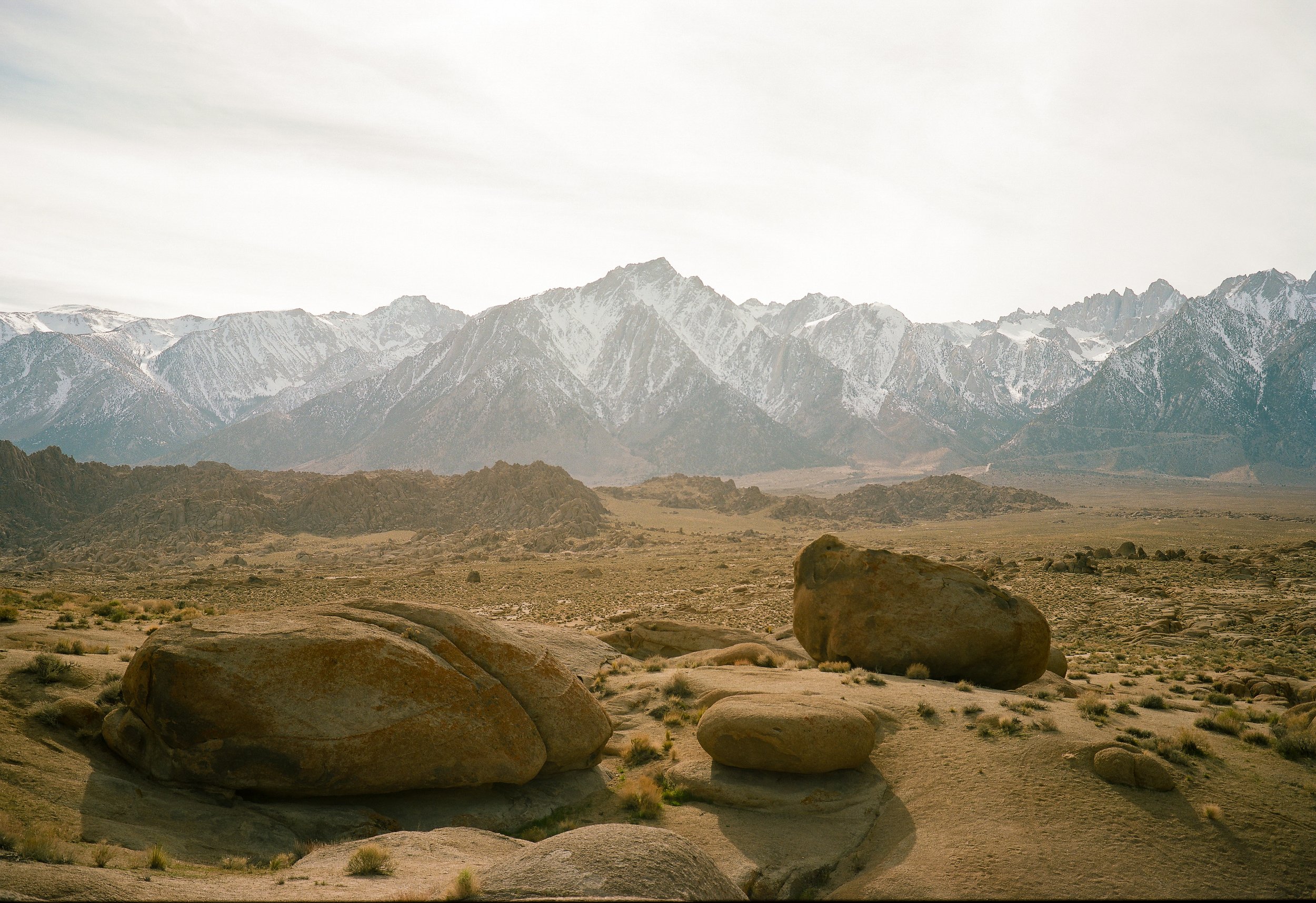 Nevada Trip - Film Scans