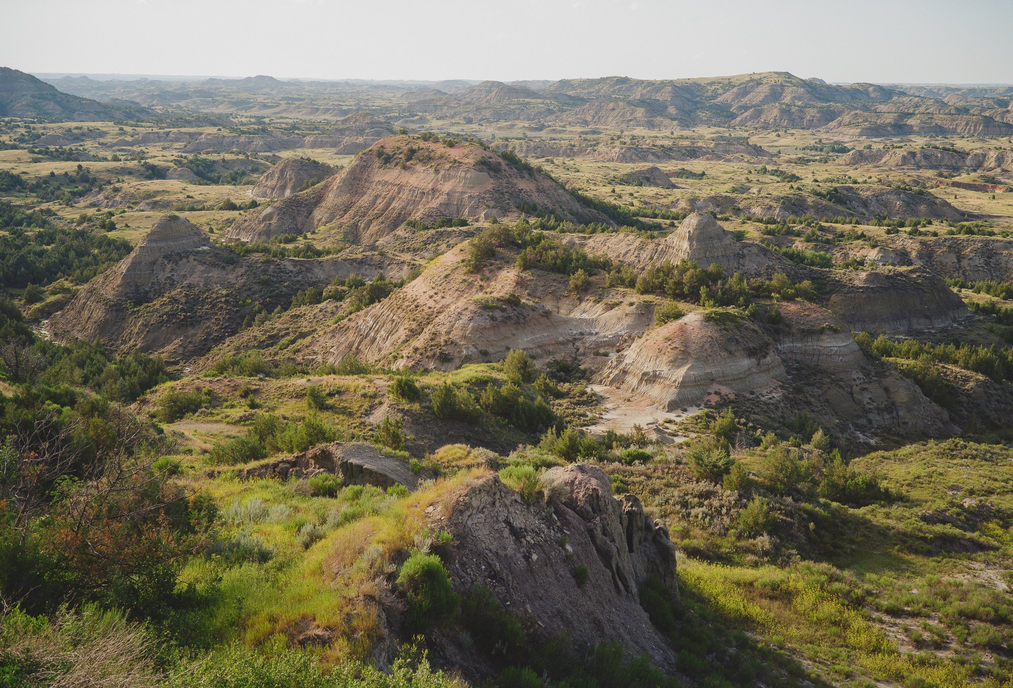 Teddy Roosevelt National Park on Film