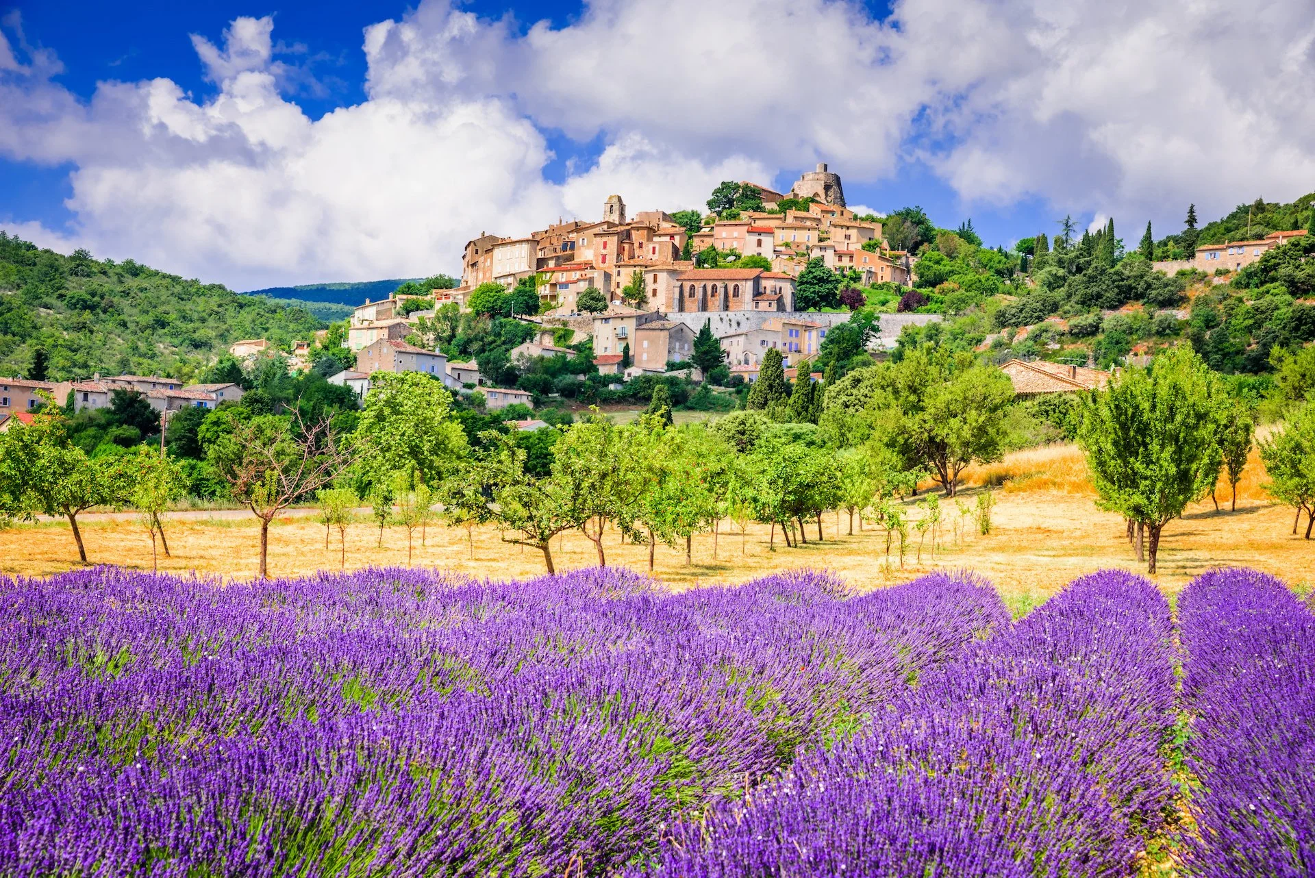 A scenic landscape featuring a field of blooming purple lavender in the foreground, a row of green trees, and a hillside village with multiple buildings and a castle at the top under a partly cloudy blue sky.