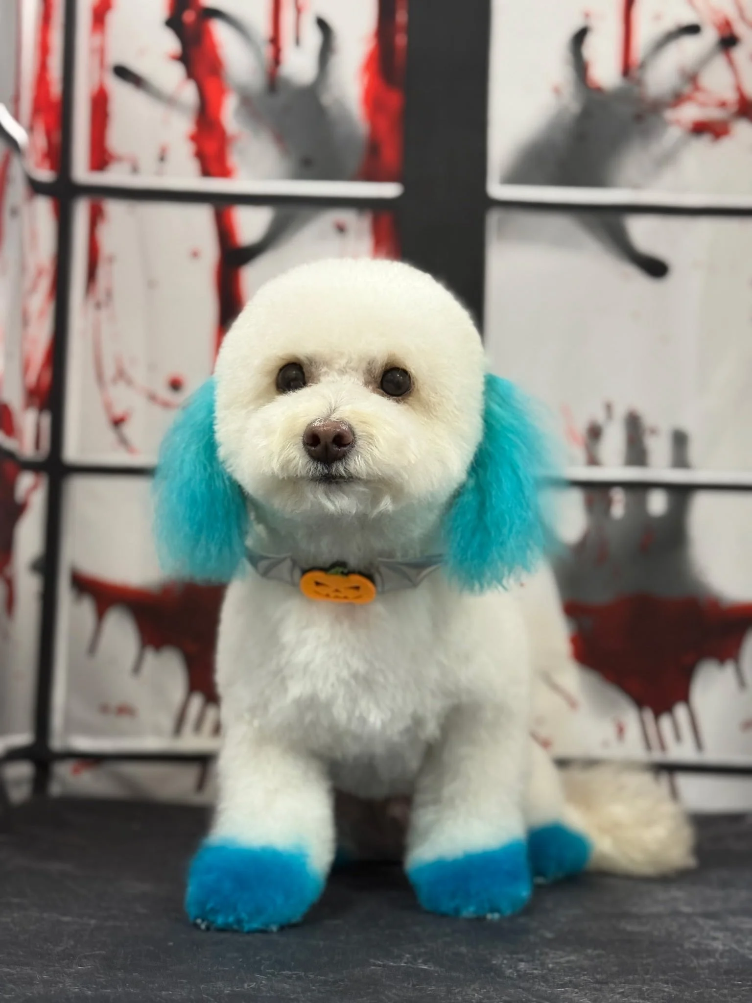 Cute white dog with blue ears and paws, wearing a Halloween-themed collar, sitting in front of a background with blood-splattered images.