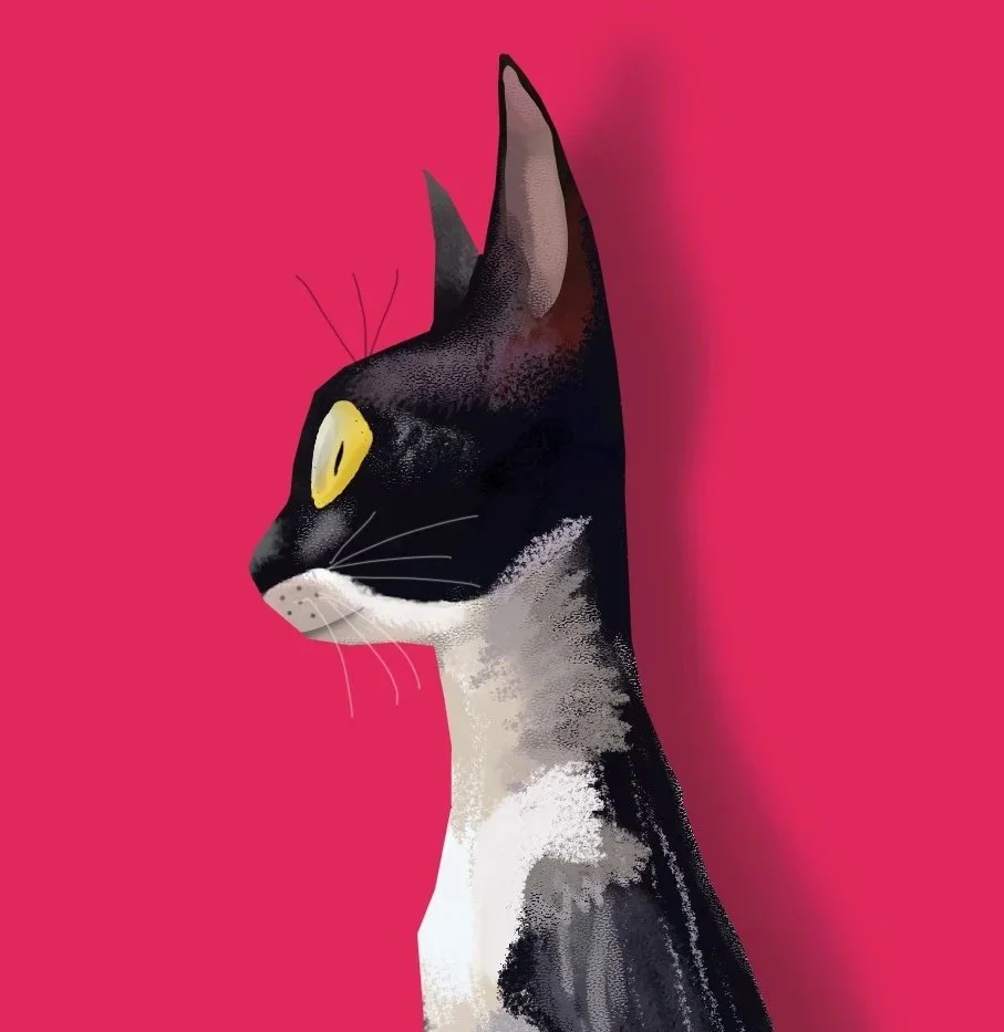 pink cat.jpg
