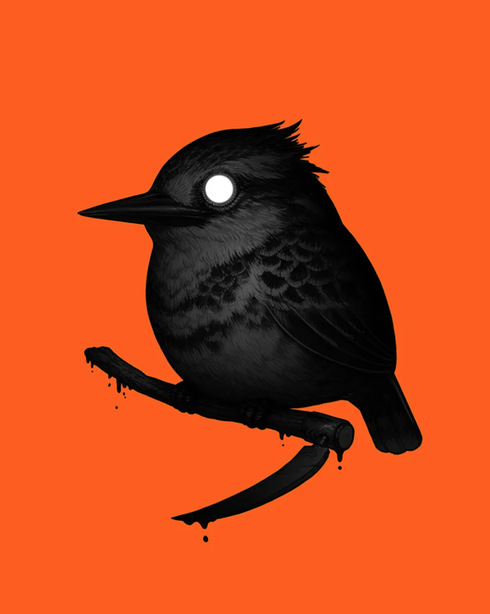 Mike Mitchell 'Pied Kingfisher' (Void) Print Available