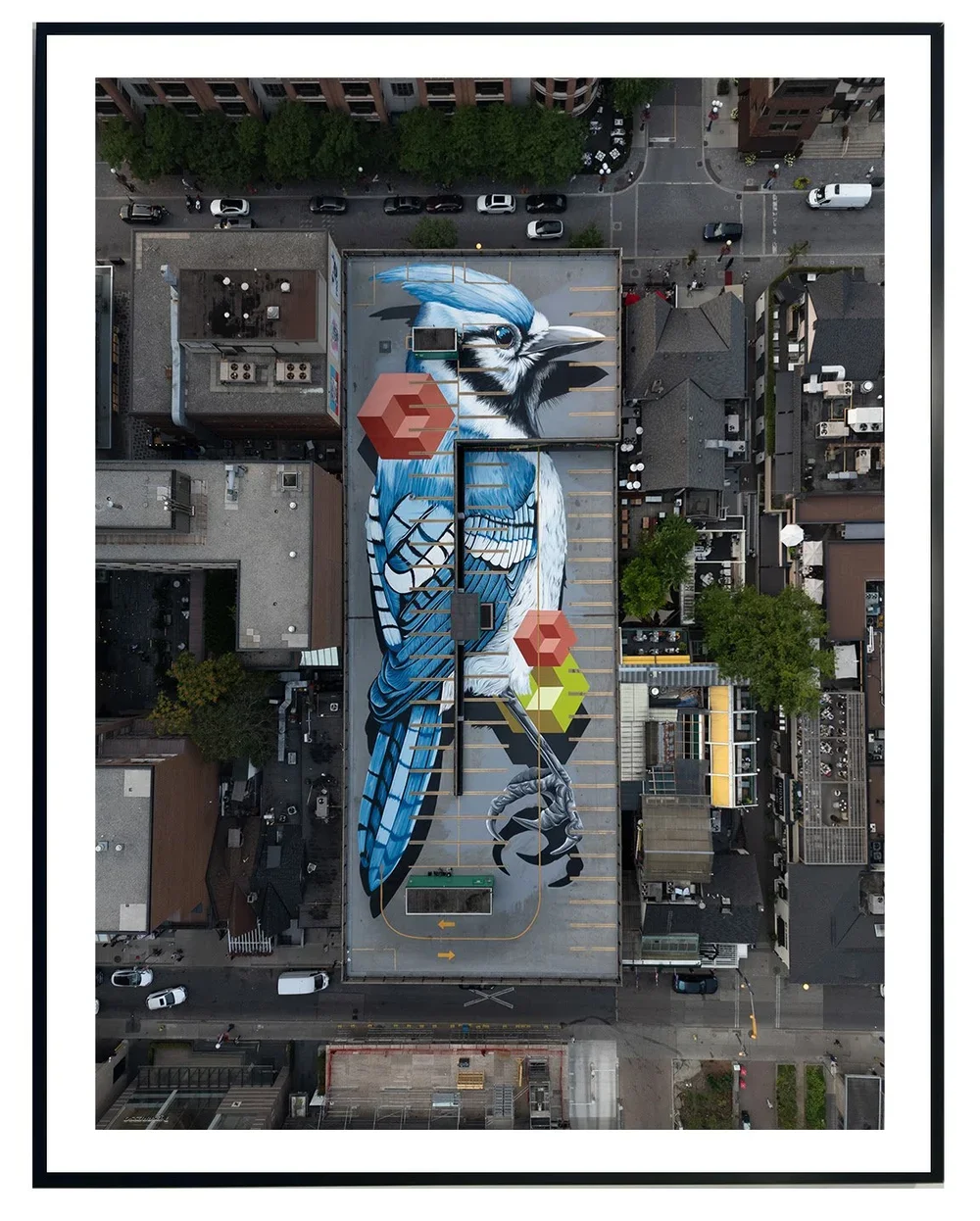 Birdo 'J-Bird' Print Available