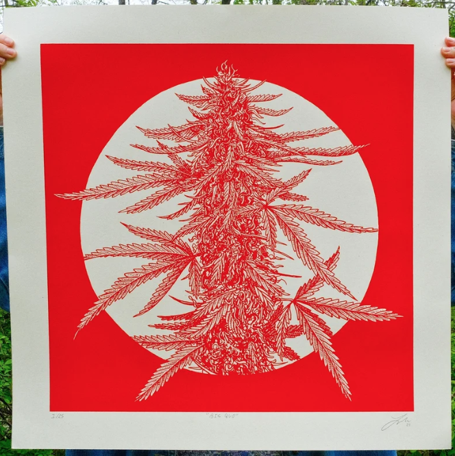 Luke Martin 'Big Bud' (Panama Red) Print Available