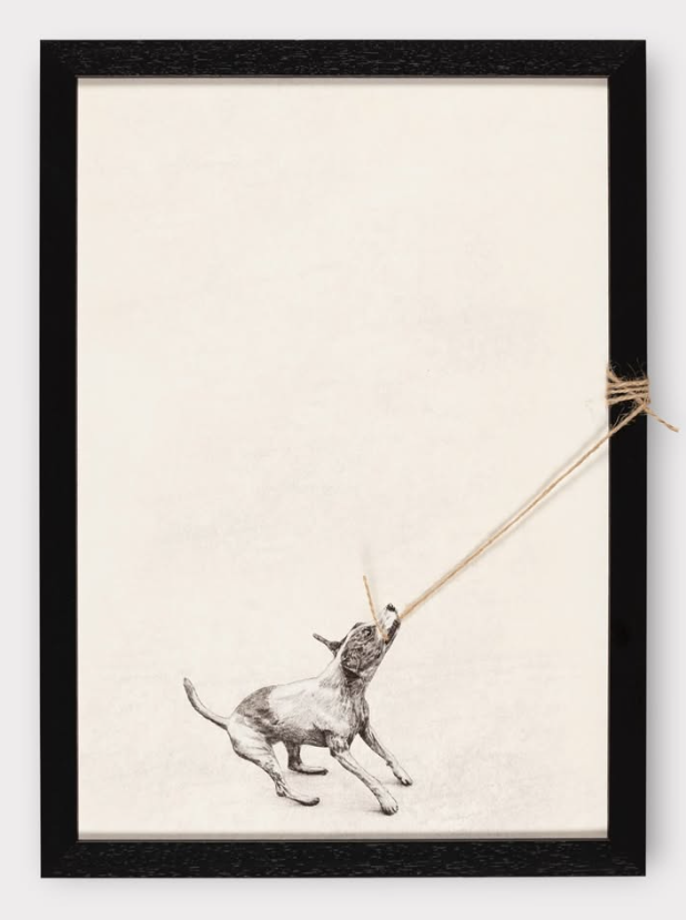 Andrew Scott 'Tug' Series Release Details