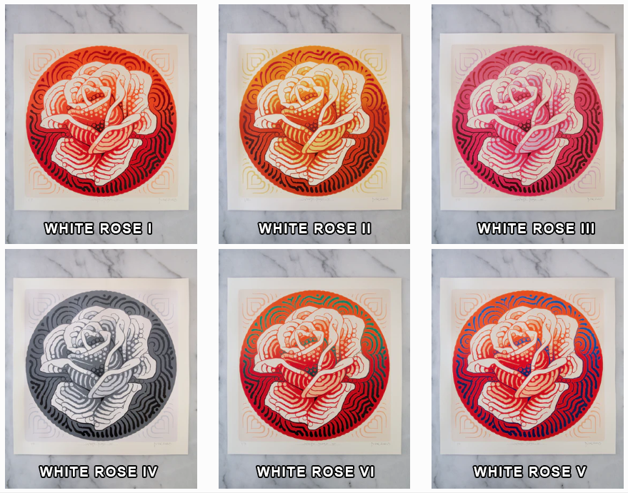 El Mac 'White Rose' Prints Available