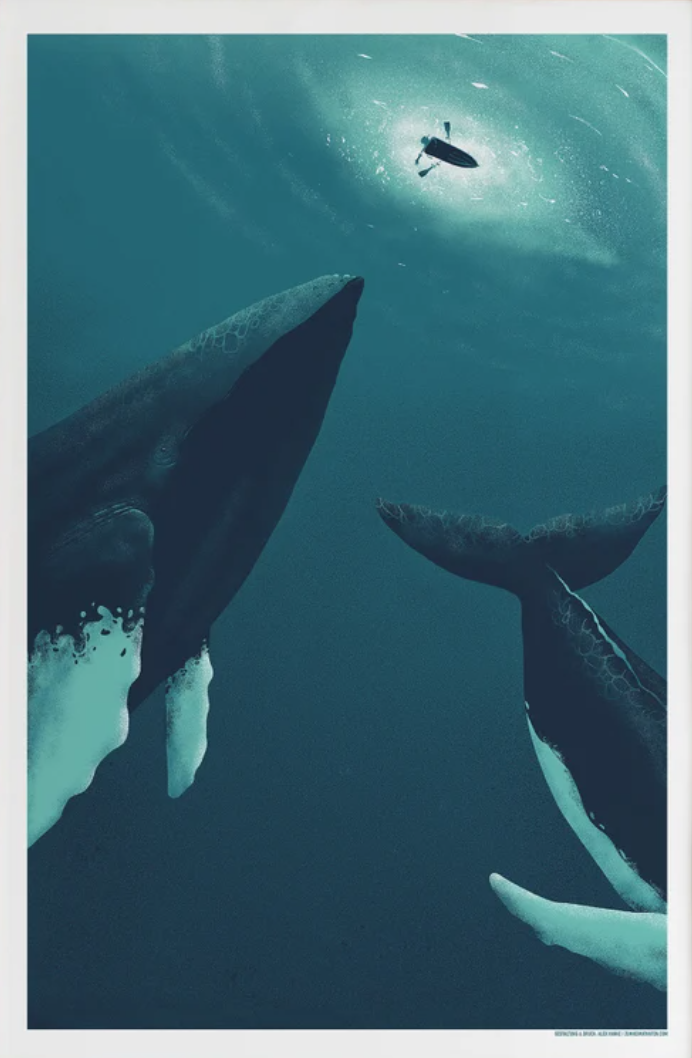 Alex Hanke 'Hero Whales 2' Print Available