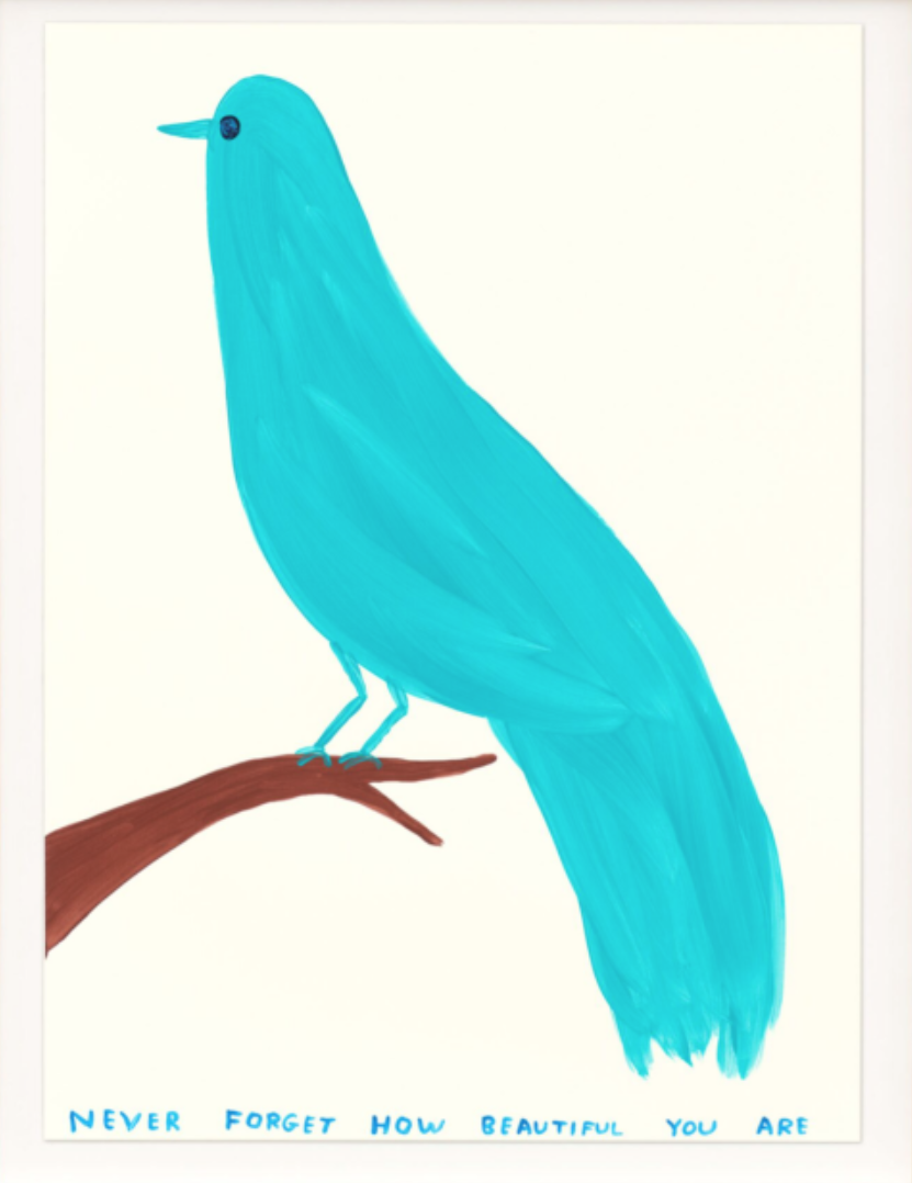 David Shrigley 'Never Forget How Beautiful You Are' HPM Release Details