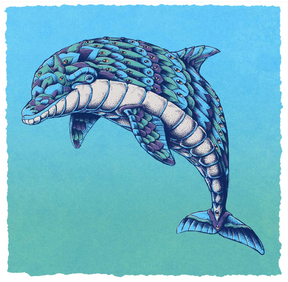 Bioworkz 'Dolphin' Print Available