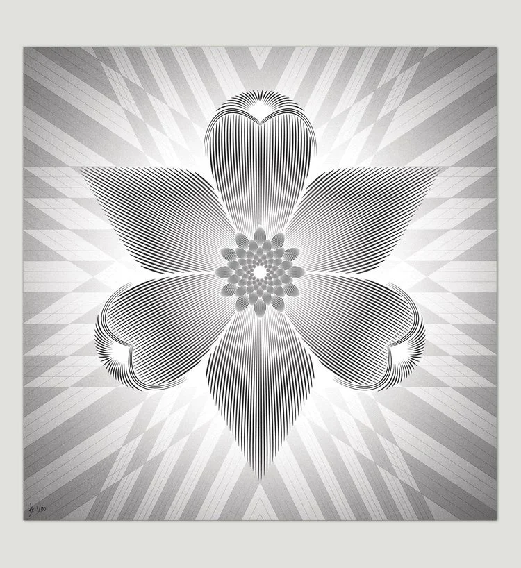 Anthony Sunter 'The Orchid' Print Available