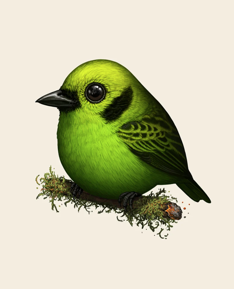 Mike Mitchell 'Emerald Tanager' Prints Available
