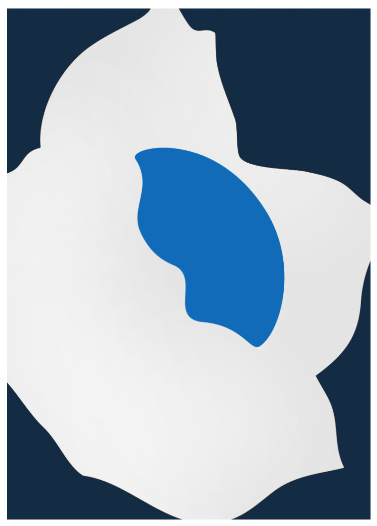 Paul Kremer 'Bloom Right Blue' Print Available