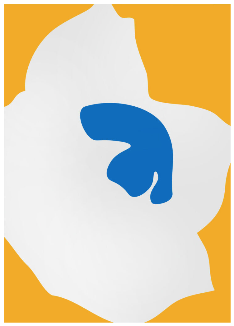 Paul Kremer 'Bloom Right Yellow' Print Available