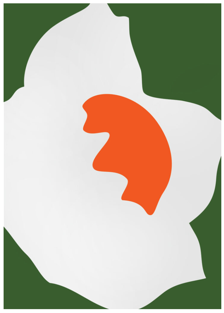 Paul Kremer 'Bloom Right Green' Print Available