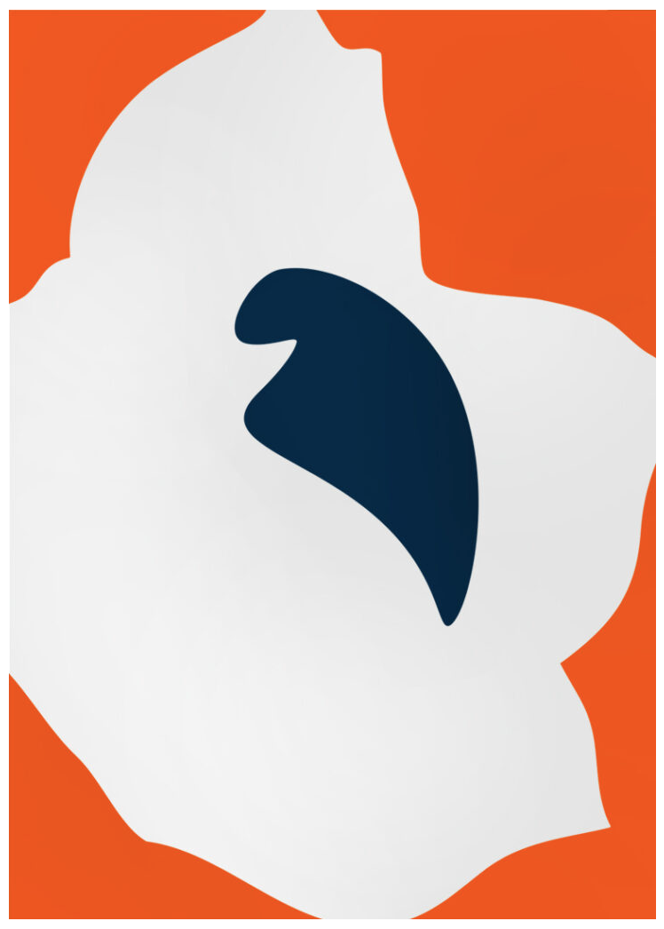 Paul Kremer 'Bloom Right Orange' Print Available