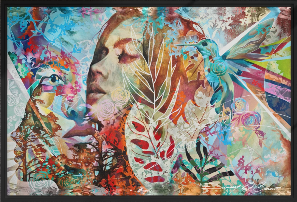 Danny O'Connor 'Wonders Of The Brainwaves Wilderness' Framed Print Available