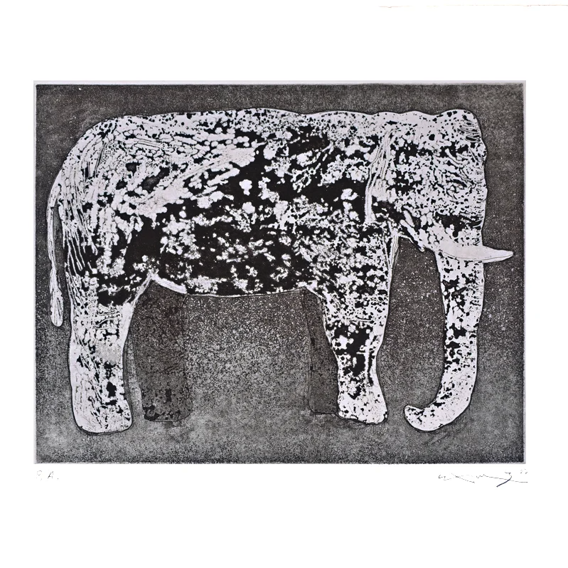 Sam3 'Elephant' Print Available