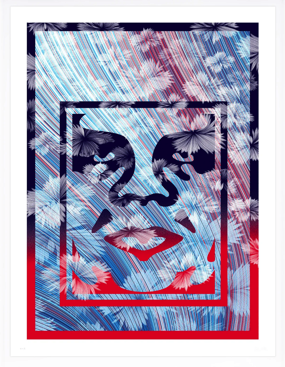 Kai &amp; Sunny + Obey 'Wild Obey' Collab A/P's Available