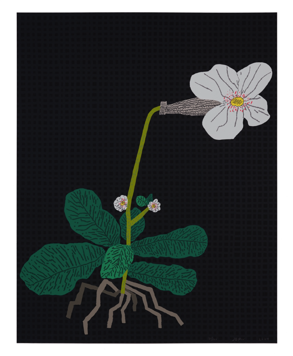 Jonas Wood 'White Flower With Grid' Print Available