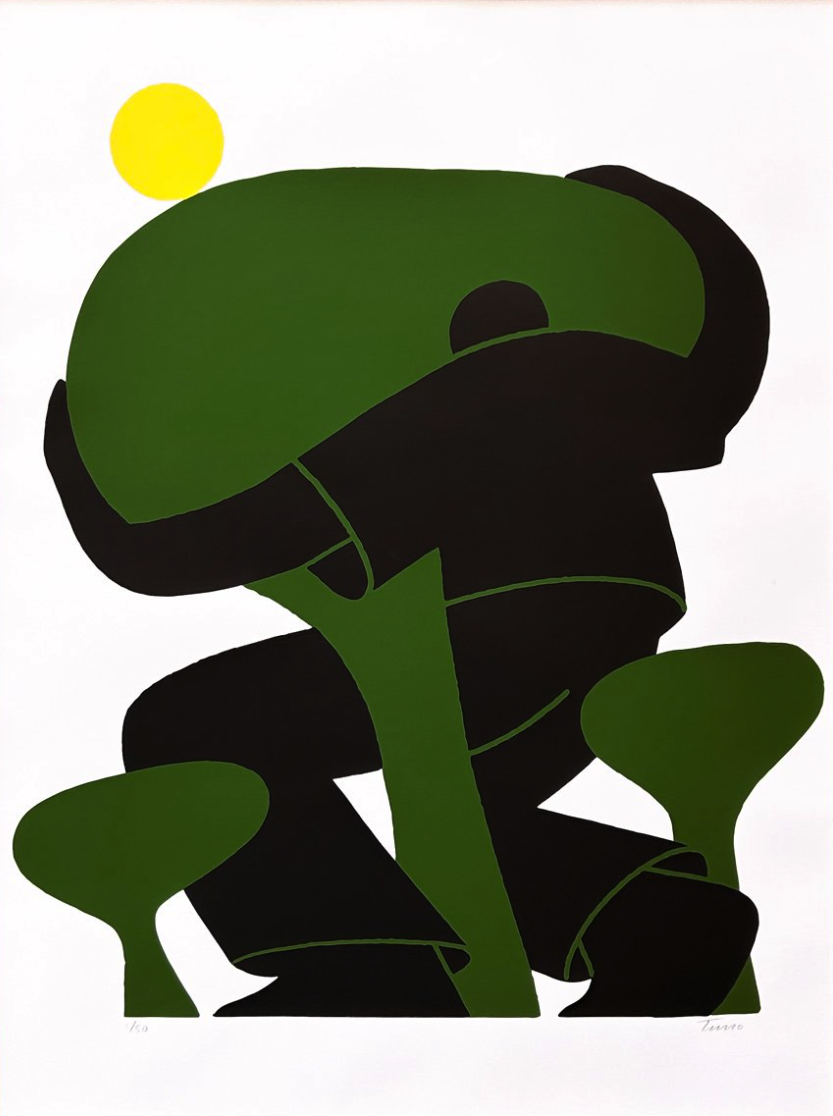 Timo Kuilder 'Lush Forests Of Croatia' Print Available