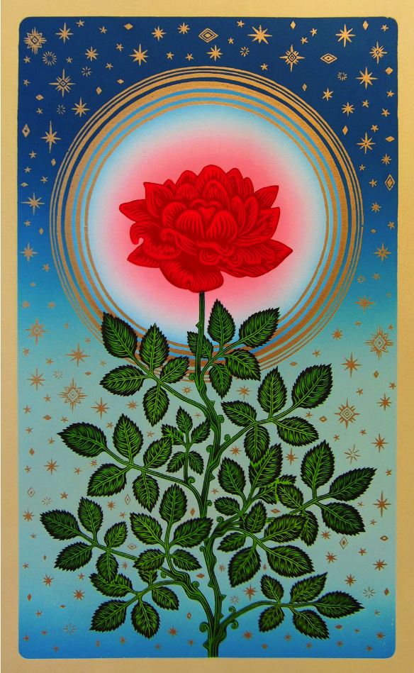 Tugboat 'Glowing Rose' Pre-Order Available