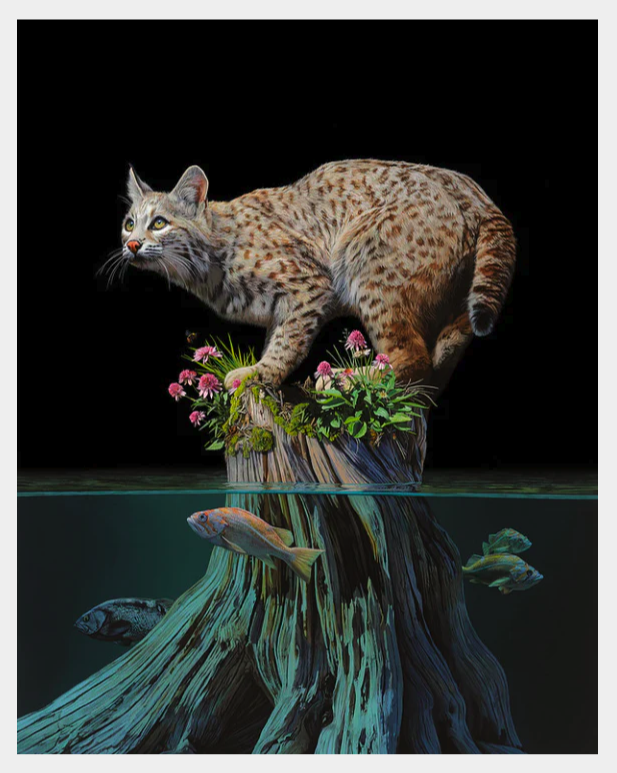 Lisa Ericson 'Territorial' Print Available